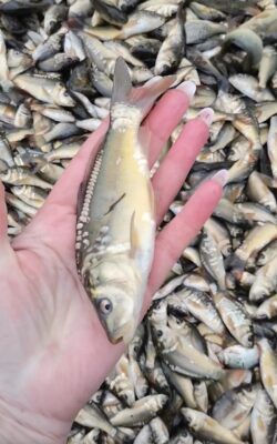 Хмільник Онлайн