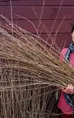 Хмільник Онлайн