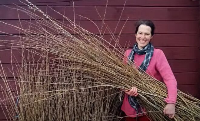 Хмільник Онлайн